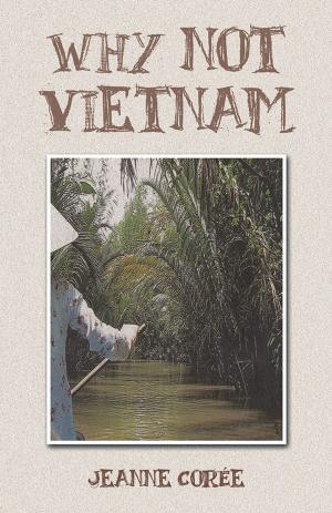 Cover of the book Why Not Vietnam by Anna Catman