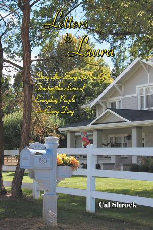 Cover of the book Letters to Laura by Jon Butcher