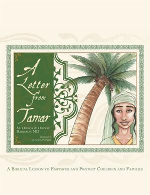 Cover of the book A Letter from Tamar by Troy Blain Borden
