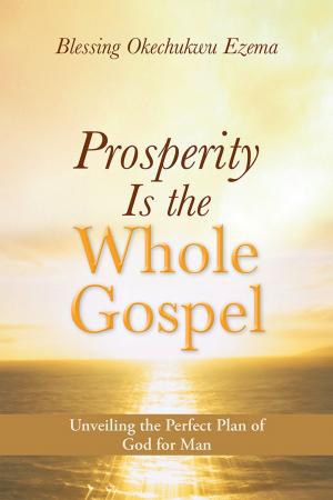 Cover of the book Prosperity Is the Whole Gospel by Rob O’Lynn