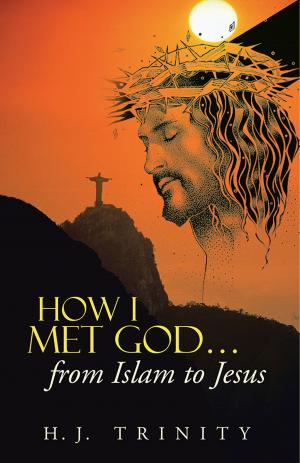 Cover of the book How I Met God…From Islam to Jesus by David Netherton