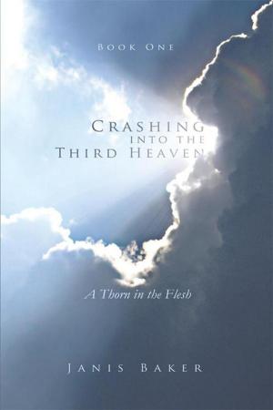 Cover of the book Crashing into the Third Heaven by Matt Kellum