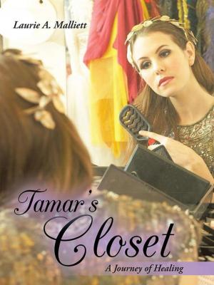 Cover of the book Tamar's Closet by John Amoako Atta