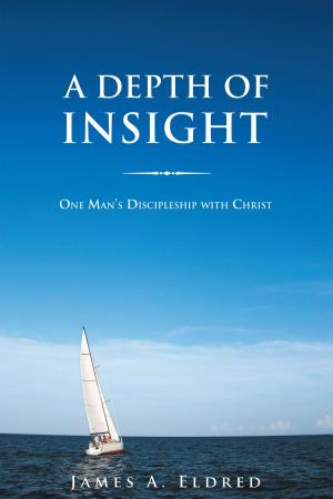 Cover of the book A Depth of Insight by Frank Jakubowsky