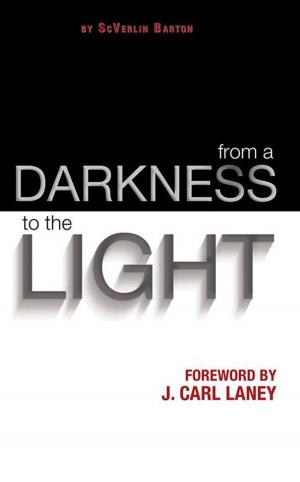 bigCover of the book From a Darkness to the Light by 