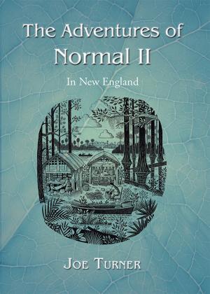 Cover of the book The Adventures of Normal Ii by V.M. Liew