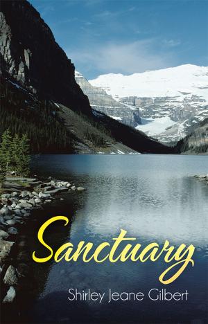 Cover of the book Sanctuary by James  Ray Ashurst Ph. D.