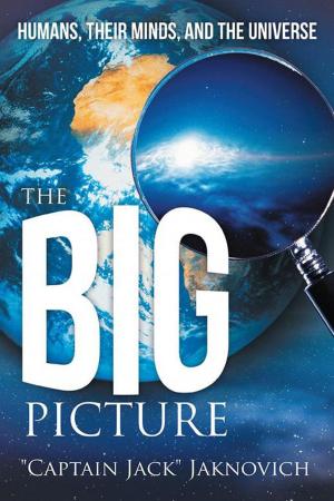 Cover of the book The Big Picture by Alex Stone