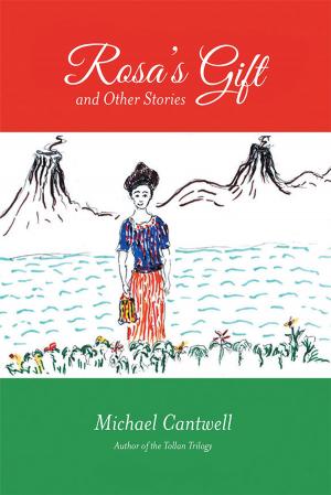 Cover of the book Rosa’S Gift and Other Stories by Norman Schools