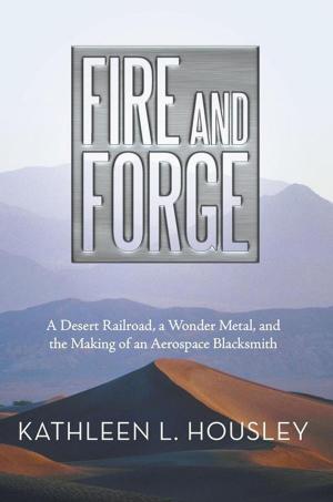 Cover of the book Fire and Forge by George Zidbeck