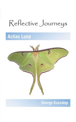 Cover of the book Reflective Journeys by John Ford