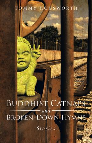 Cover of the book Buddhist Catnaps and Broken-Down Hymns by Sharon L. Eibisberger