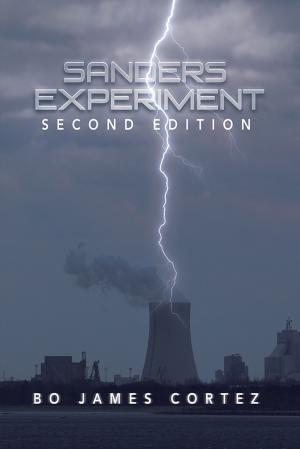 bigCover of the book Sanders Experiment by 