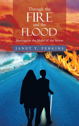 Cover of the book Through the Fire and the Flood by Cheryl Robbins Berg
