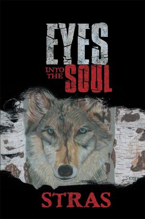 Cover of the book Eyes into the Soul by Donald Steinberg
