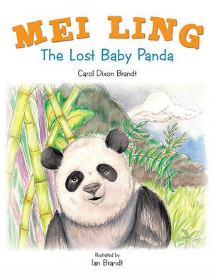Cover of the book Mei Ling by Rosemary Bean