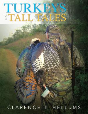 Cover of the book Turkeys and Tall Tales by Master Prophet James T. Johnson