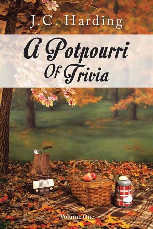 Cover of the book A Potpourri of Trivia by James A. Johnson
