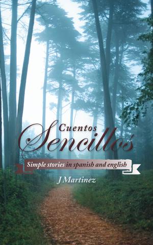 Cover of the book Cuentos Sencillos by Jerry Belvo