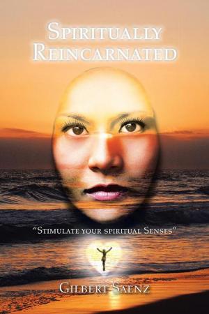 Cover of the book Spiritually Reincarnated by Pete T. Williams