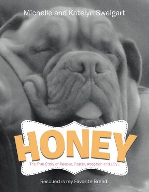 Cover of the book Honey by Bill Mena