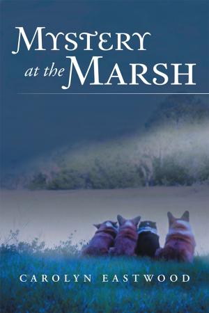 Cover of the book Mystery at the Marsh by Laxleyval Sagasta