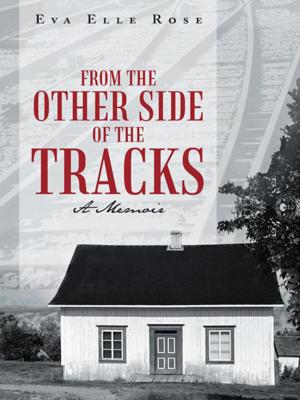 Cover of the book From the Other Side of the Tracks by Lance K. Aberle