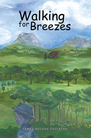Cover of the book Walking for Breezes by Dr. Althea M. Brown
