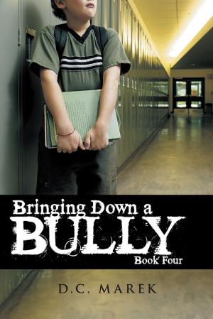 Cover of the book Bringing Down a Bully by D.S. Brown