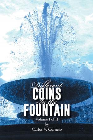 Cover of the book Different Coins in the Fountain by B. W. Van Riper