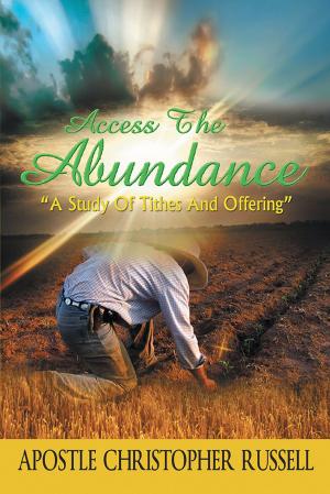 Cover of the book Access the Abundance by David E. Morgan Ph.D.