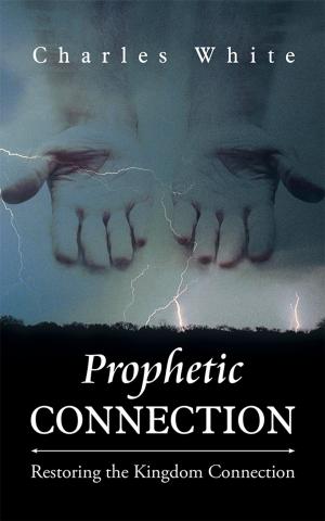 Book cover of Prophetic Connection