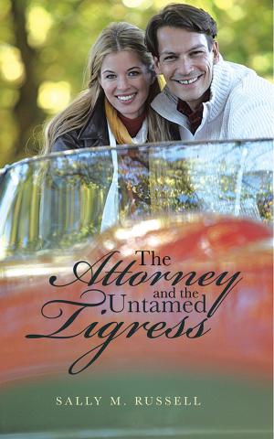 Cover of the book The Attorney and the Untamed Tigress by Jillian Amodio