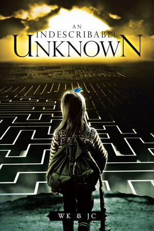 Cover of the book An Indescribable Unknown by Mairi Craw