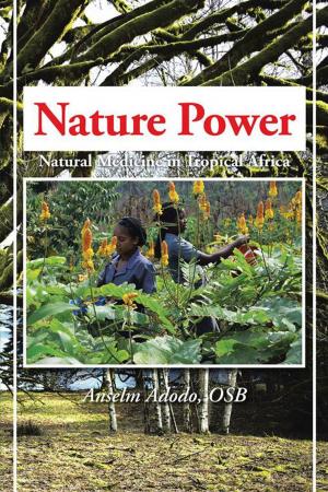Cover of the book Nature Power by George Jachimowicz