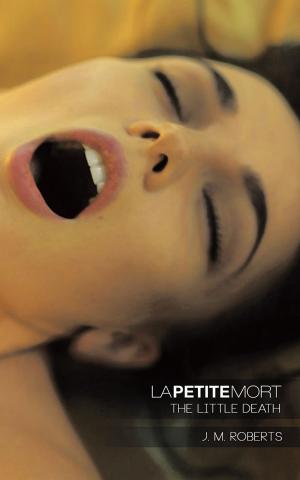 Cover of the book La Petite Mort by Valeria Jaker