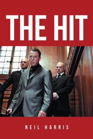 Cover of the book The Hit by JS Joubert