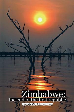 Cover of the book Zimbabwe:The End of the First Republic by Belinda Dupont