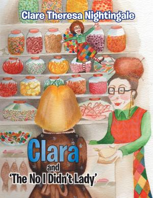 Cover of the book Clara and 'The No I Didn't Lady' by Mark Earnest