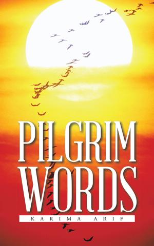Cover of the book Pilgrim Words by Samantha Arran