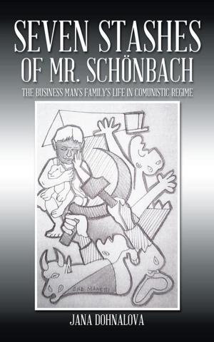Cover of the book Seven Stashes of Mr. Schönbach by Kurt M. V. Rich