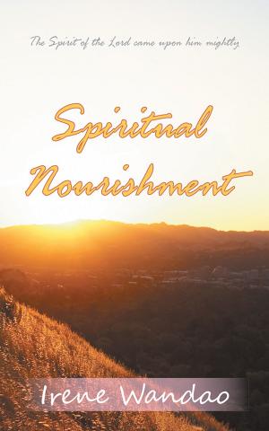 Cover of the book Spiritual Nourishment by Shaun Mehta