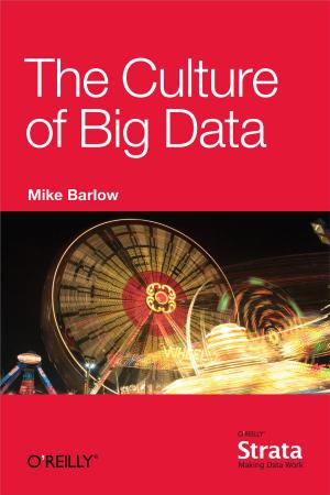 Cover of the book The Culture of Big Data by Matthew MacDonald