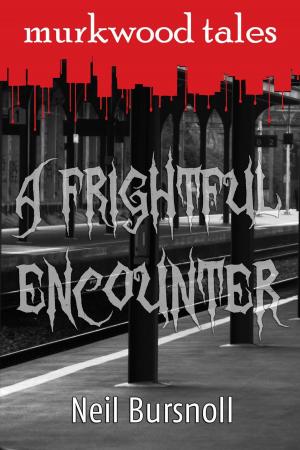 Cover of the book A Frightful Encounter by C. M. Johnson