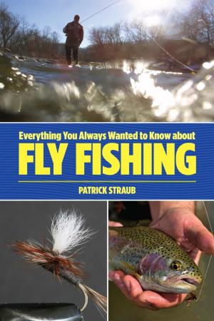 Cover of the book Everything You Always Wanted to Know about Fly Fishing by Alexander Stilwell