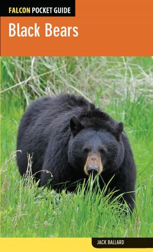 Cover of the book Black Bears by Kent Dannen
