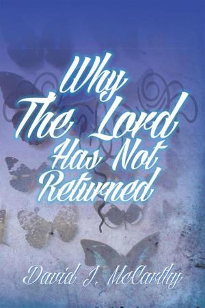 Book cover of Why the Lord Has Not Returned