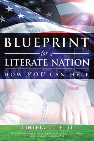 Cover of the book Blueprint for a Literate Nation How You Can Help by M.J. Brenon