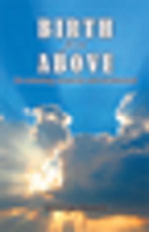 Cover of the book Birth from Above by Joy Ashe