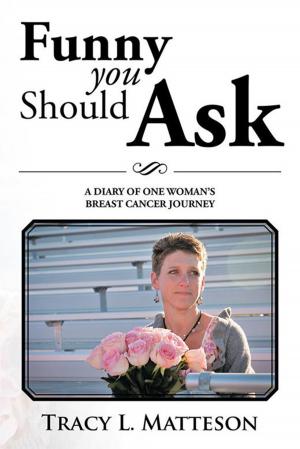 Cover of the book Funny You Should Ask by James Q. Glenn
